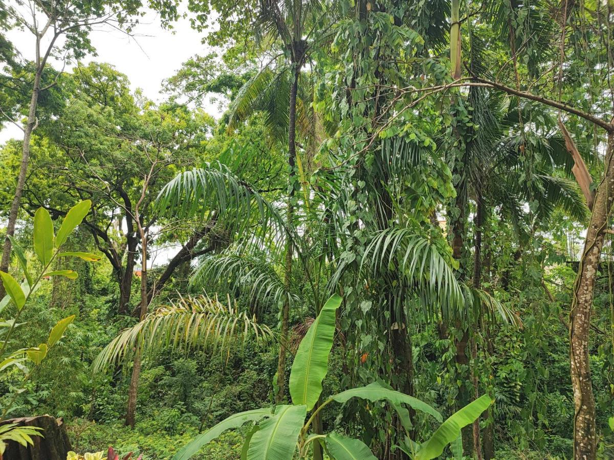 Casa Hadassa La Canada Palenque Buitenkant foto